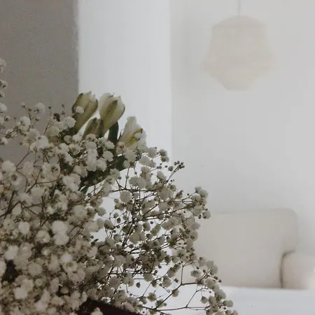 Hotel Anhel Ferreries (Ferrerías)