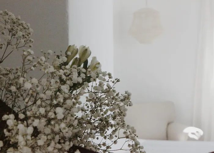 Hotel Anhel Ferreries