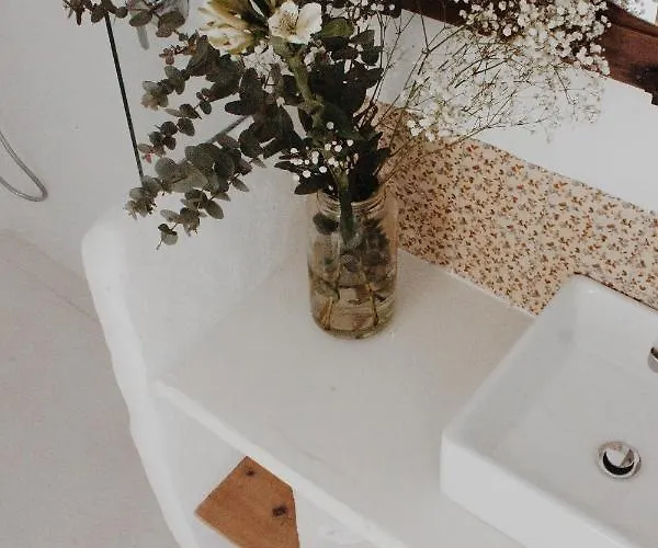 Anhel 费瑞里耶斯